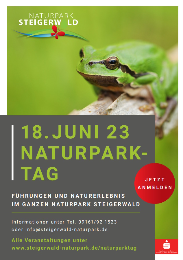 Werbeplakat für den Naturpark-Tag am 18. Juni 2023 im Steigerwald – grüner Laubfrosch auf Ast vor Naturhintergrund, zentrale Infos zu Führungen und Naturerlebnissen im gesamten Park, mit Anmeldehinweis und Kontaktangaben, Szene verbindet Umweltbildung mit lebendiger Naturdarstellung.