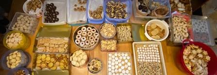 Große Auswahl an Gebäck auf Tisch in verschiedensten Behältern – über zwanzig Sorten, darunter runde, eckige, halbmond- und sternförmige Kekse, teils mit Zucker, Schokolade oder Füllung verziert, Szene zeigt liebevoll zusammengestellte Vielfalt für festlichen Anlass oder Plätzchentausch.