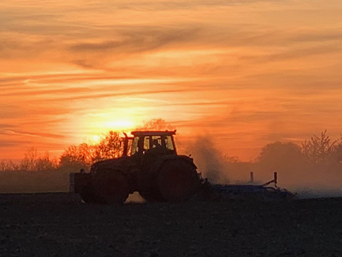 Traktor im Gegenlicht vor Sonnenuntergang