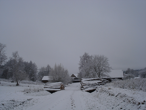 Verschneite Winterlandschaft mit Häusern
