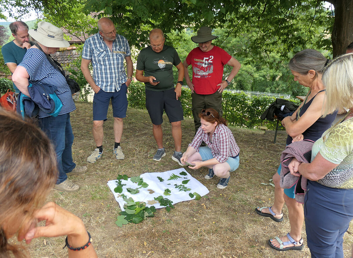 Seminar in der Natur mit Anschauungsmaterial zu Bäumen in der Mitte mit einer bückenden Person, die dazu etwas erklärt.
