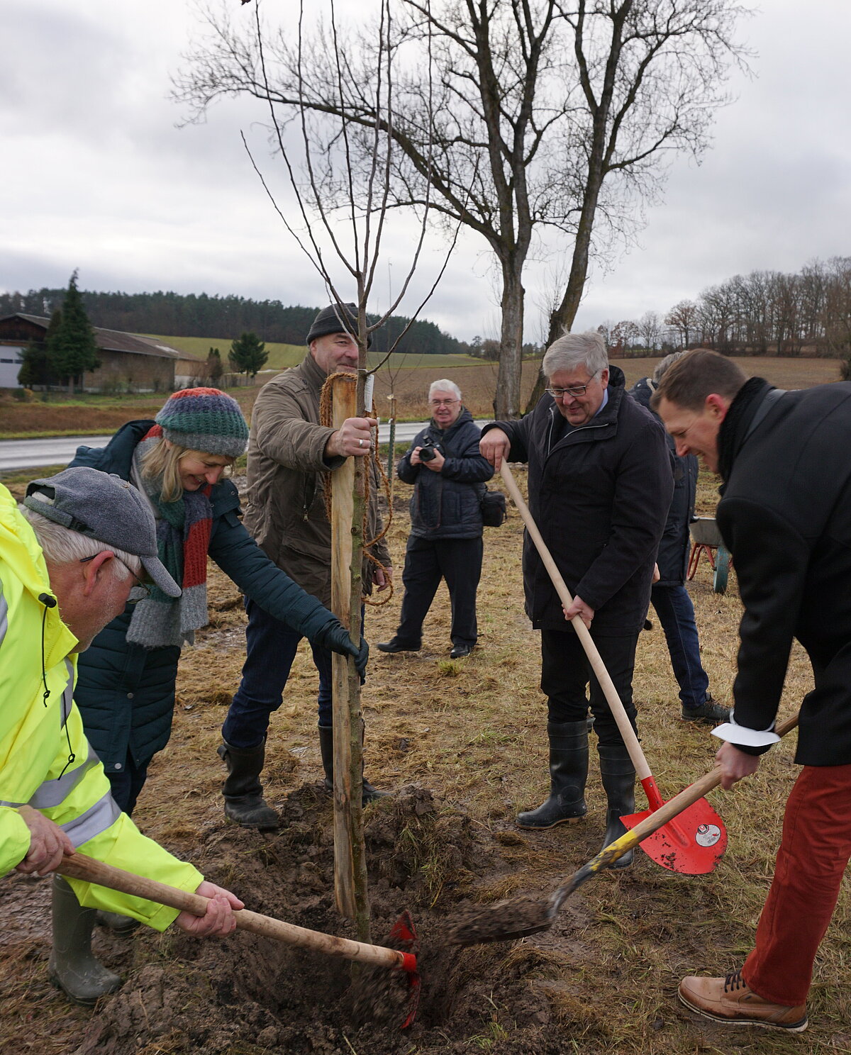 Baum wird gepflanzt, mehrere Personen graben