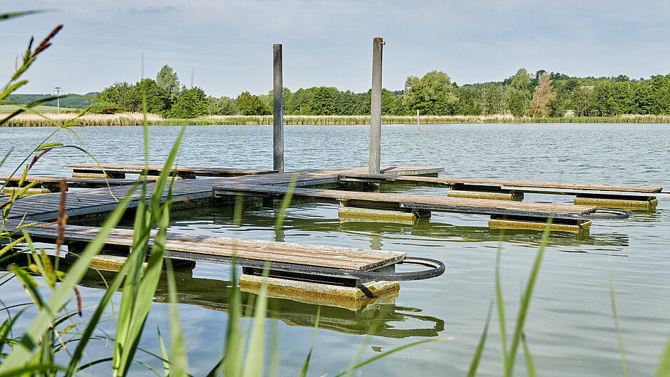 Blick auf den See und einen Steg mit zwei Ausläufern, im Vordergrund Seegras