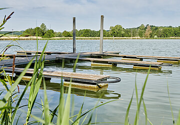 Blick auf den See und einen Steg mit zwei Ausläufern, im Vordergrund Seegras