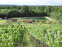 Blick von Weinberg auf Wasserrückhaltebecken