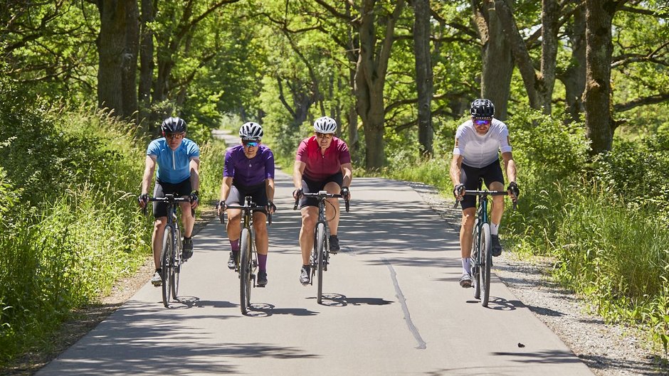 ©Ines Männl Vier Radfahrer fahren sportlich durch eine Baumallee.