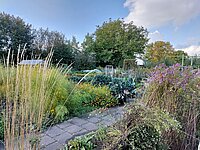 Garten mit gepflastertem Weg, dicht bewachsenen Beeten voller Blumen und Gemüse, hohen Gräsern im Vordergrund und Bäumen im Hintergrund unter blauem Himmel mit einigen Wolken.