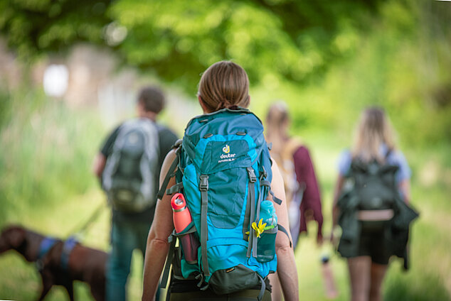 Vier Wanderer und ein Hund, Wanderin mit Rucksack von hinten im Fokus