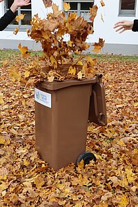 Hände werfen braune und gelbe Blätter in eine Biotonne