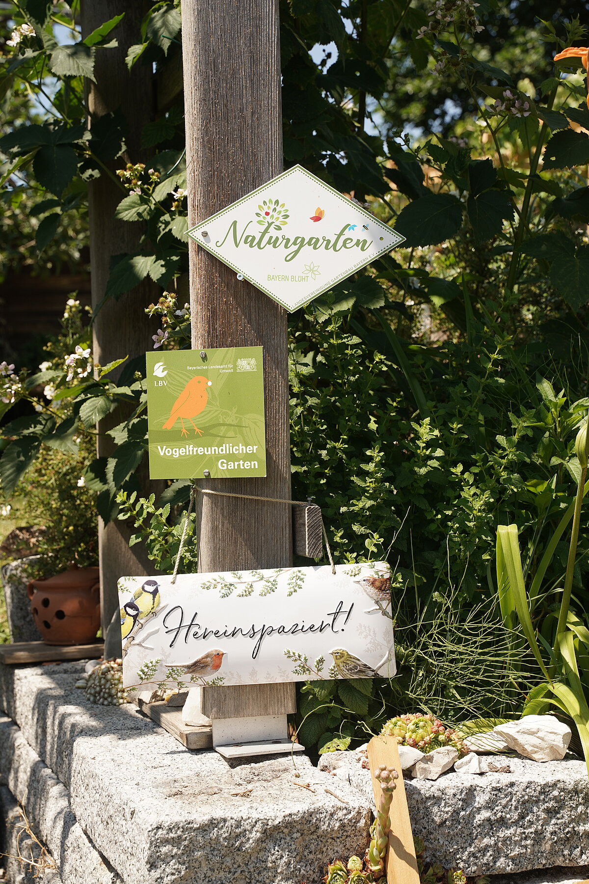 Drei dekorative Schilder an einem Holzpfosten in einem naturnahen Garten: „Honigparadies“ mit Bienenmotiv, „Vogelfreundlicher Garten“ mit Zertifizierungslogo und „Naturgarten“ mit Symbolen für Vogel, Blume und Blatt – umgeben von Grün und Steinstrukturen.