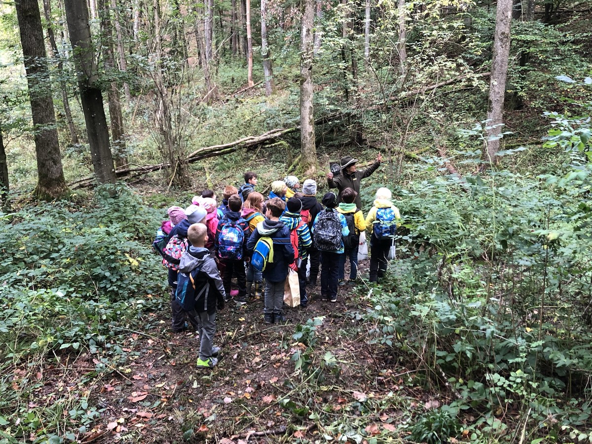 Kindergruppe mit Naturpark-Ranger im Wald