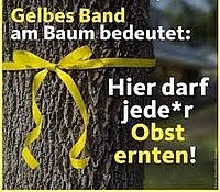 Logo Gelbes Band