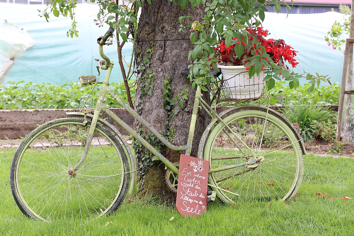 Ein altes grünes Fahrrad, das an einen Baum gelehnt ist, geschmückt mit einem Korb mit roten Blumen und einem Kreideschild in deutscher Sprache.
