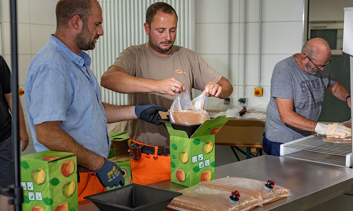 Drei Personen arbeiten in einem hygienisch eingerichteten Lebensmittelbetrieb – zwei Männer verpacken eine Flüssigkeit, vermutlich Apfelsaft, in Kunststoffbeutel und legen sie in grüne Kartons mit Apfelmotiven; im Hintergrund unterstützt ein weiterer Mitarbeiter den Prozess, umgeben von Edelstahlflächen und weißen Fliesen.