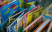 Kiste mit verschiedenen Büchern