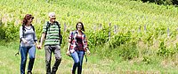 Drei Wanderer spazieren an einem Weinberg entlang.