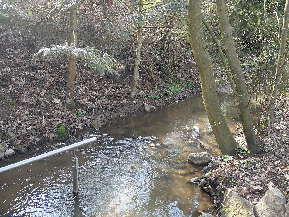 Naturnaher Bachlauf der Kneippanlage im Leitenbach in Neuhof a.d. Zenn mit Einstiegsgeländer, schattenspendenden Bäumen und klarem Wasser.