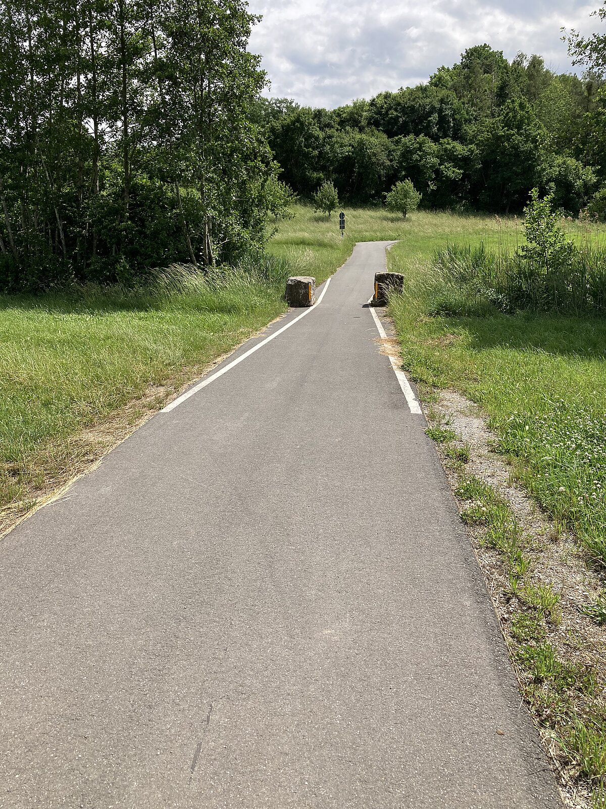 Selbstständiger Radweg Ein asphaltierter Fuß- oder Radweg verläuft gerade durch eine grüne, bewaldete Landschaft; links und rechts stehen zwei große Baumstümpfe als natürliche Barrieren gegen Fahrzeugverkehr. Der Weg ist weiß markiert und gut gepflegt, umgeben von Gras und Bäumen, bei leicht bewölktem Himmel.
