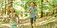 Kinder im Wald