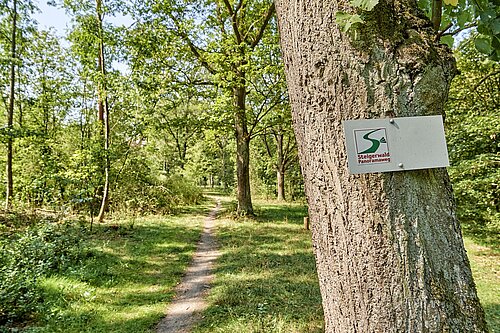 Wegmarkierung auf dem Steigerwald-Panoramaweg
