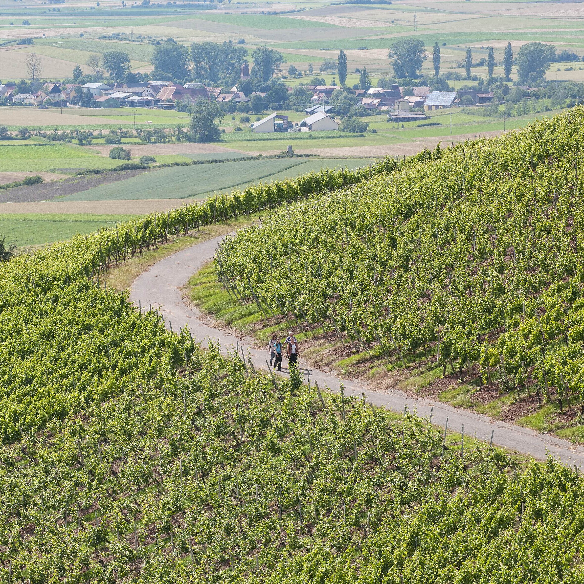 © Florian Trykowski