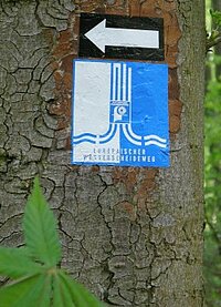 Wegweiser am Baumstamm mit schwarzem Pfeil und blau-weißem Symbol – darunter Schriftzug „Europäischer Wasserscheideweg“, Szene markiert Wanderroute entlang geografischer Wasserscheide in bewaldeter Umgebung.