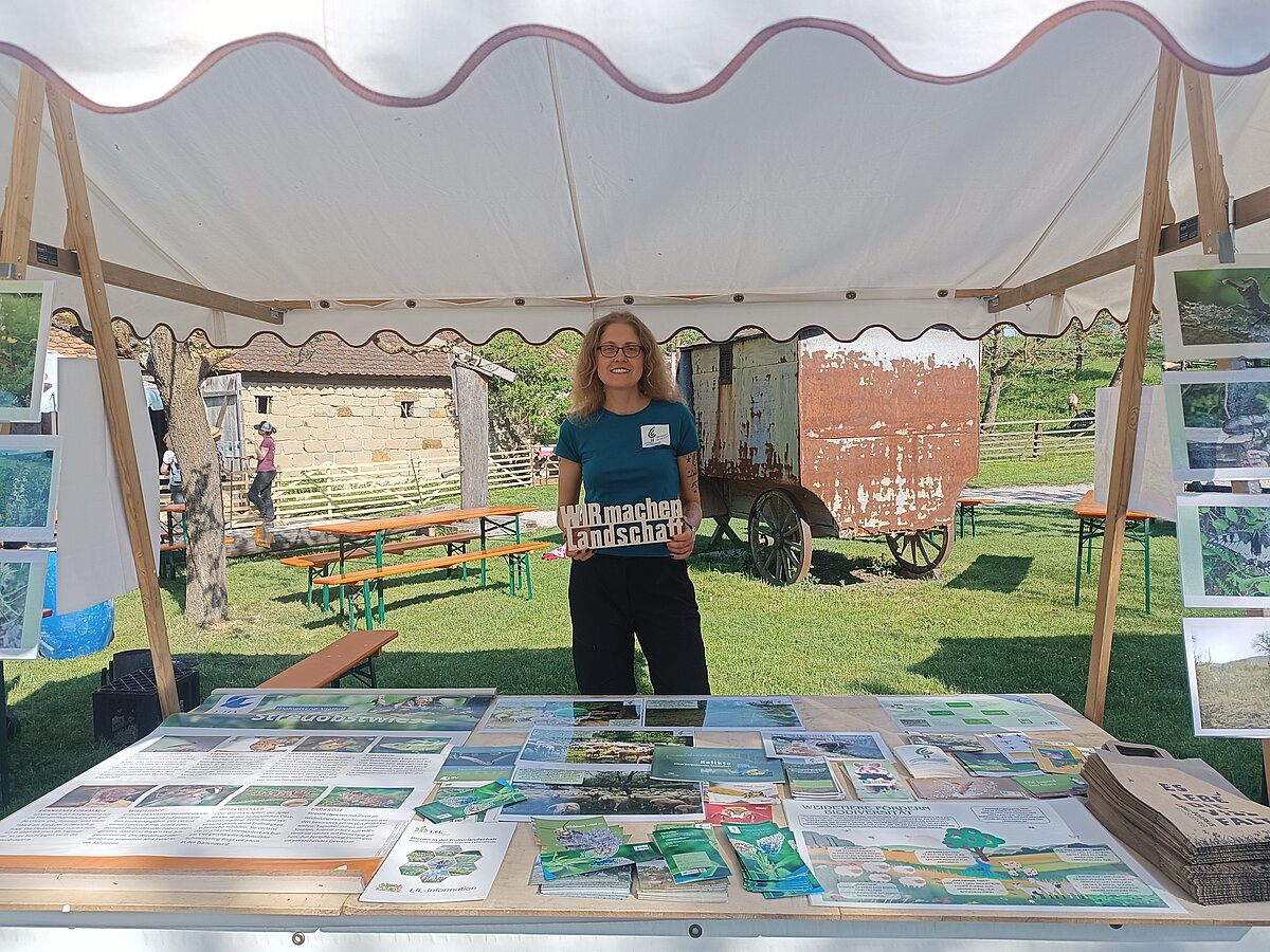 Person steht unter einem weißen Pavillon hinter einem Tisch mit zahlreichen Informationsbroschüren und Flyern, im Hintergrund sind Bänke, ein Baum und ein alter rostiger Wagen zu sehen.