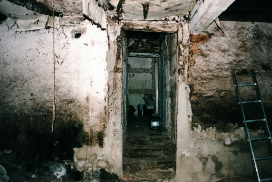 Dreiseithof Schweinestall  - Innenansicht vorher