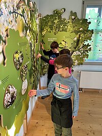 Die Kinder konnten die Ausstellung im Bernatura erkunden