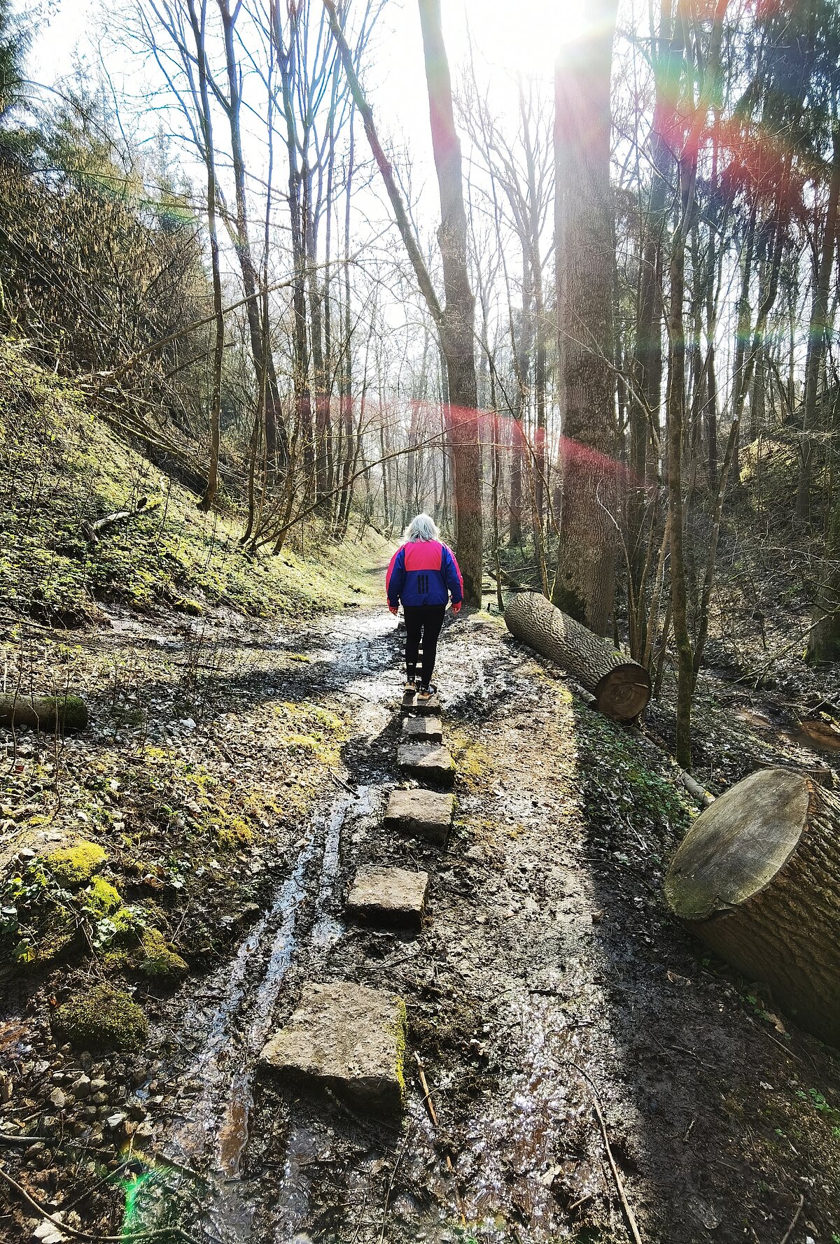Person mit weißem Haar und bunter Jacke wandert auf matschigem Waldpfad – flache Steine dienen als Trittfläche durch feuchtes Gelände, Sonnenstrahlen brechen durch hohe Bäume und erzeugen Lichtreflexe, Szene vermittelt ruhige Naturverbundenheit und Bewegung in ursprünglicher Umgebung.