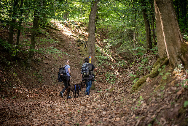 Wandern in Neuhof a.d.Zenn Zwei Wanderer auf einem Waldweg mit Hund