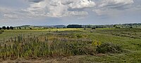 Grüne Wiesenlandschaft mit gemähten Flächen, mehreren Rundballen und einem Streifen aus Wildblumen und Gräsern, im Hintergrund sanfte Hügel und Baumgruppen unter einem bewölkten Himmel.