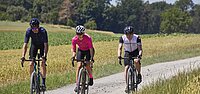 Drei Rennradfahrer treten auf einem Feldweg in die Pedale.