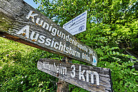 Wegweiser aus Holz nah hingezoomt im Wald 