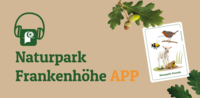 Werbegrafik zur „Naturpark Frankenhöhe APP“ – linke Seite zeigt grünes Kopfhörersymbol mit stilisierter Blüte, daneben Schriftzug mit orange hervorgehobenem „APP“, rechte Seite illustriert Spielkarte „Naturpark-Freunde“ mit Tieren und Pflanzen, darüber Eichenblätter und Eicheln, Szene verbindet digitale Naturerfahrung mit spielerischer Wissensvermittlung.