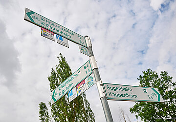 Fahrradbeschilderung in der Landschaft von unten vor Bäumen und bewölktem Himmel