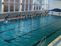 Schwimmer springen im Hallenbad im Schulzentrum Neustadt a.d.Aisch ins Wasser