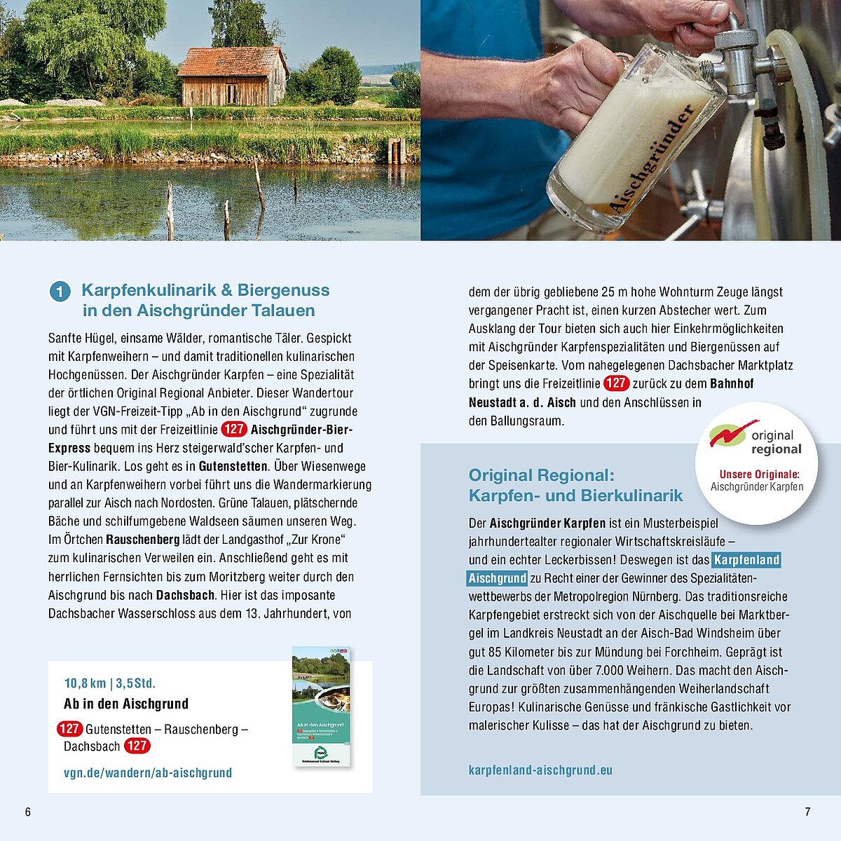 Doppelseitige Broschüre zur Karpfen- und Bierkultur in den Aischgründer Talauen – linke Seite beschreibt den „Aischgründer-Bier-Express“ mit 12 Brauereistopps auf 10,8 km Wanderstrecke (ca. 2,5 Std.), rechte Seite hebt regionale Brauvielfalt und historische Bedeutung hervor, Gestaltung verbindet Genuss, Landschaft und Tradition.