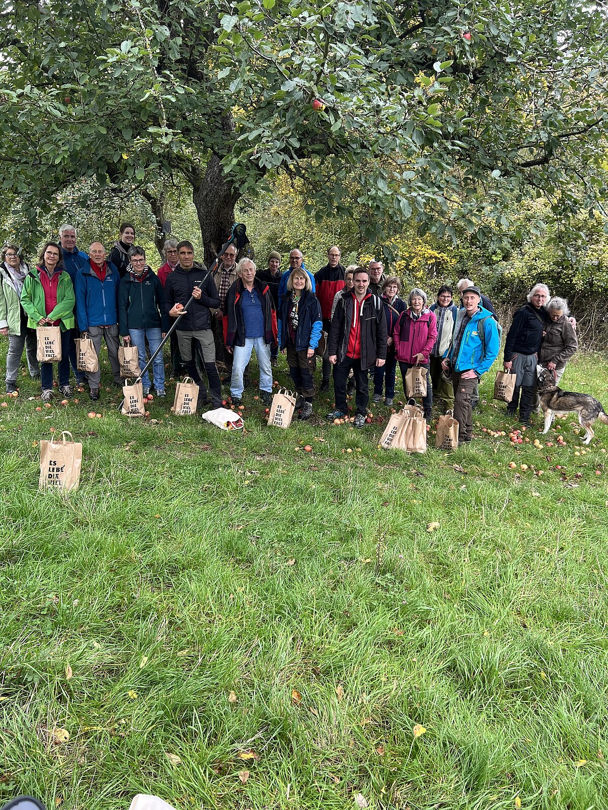 Rund 30 Personen stehen vor einem Apfelbaum auf einer Streuobstwiese