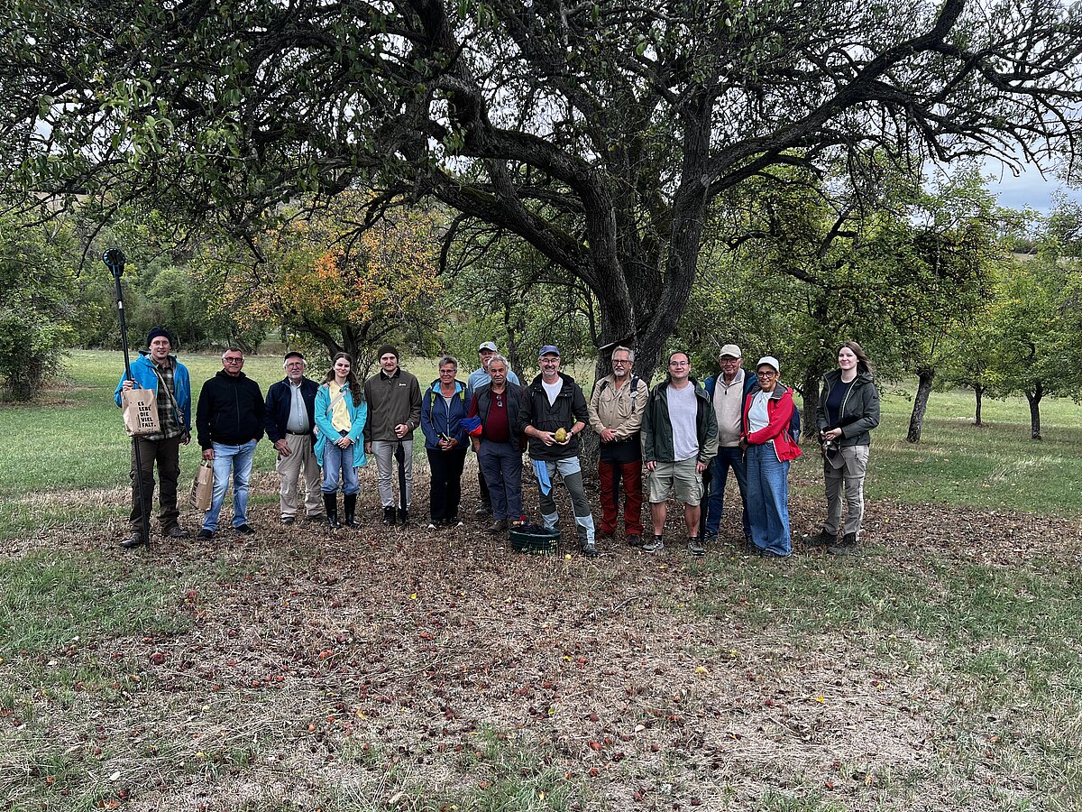Gruppenfoto vor einem alten Birnenbaum bei einer Exkursion