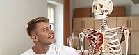 Eine junge Person in weißem Shirt betrachtet lächelnd ein anatomisches Skelettmodell mit farblich markierten Knochen in einem Lernraum mit Schränken und weiteren Modellen.