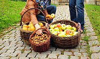 Drei Personen sammeln Obst und Nüsse in Körben vor einem Fachwerkhaus im Freien.