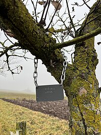 Ein besonderer Blickfang: Die von Markus Stern gefertigten „Baumhalsketten“ kennzeichnen die Streuobstsorten.