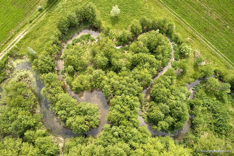 ©Florian Trykowski Fluss mit Herzform